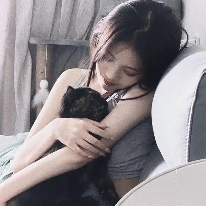 嗜血破晓