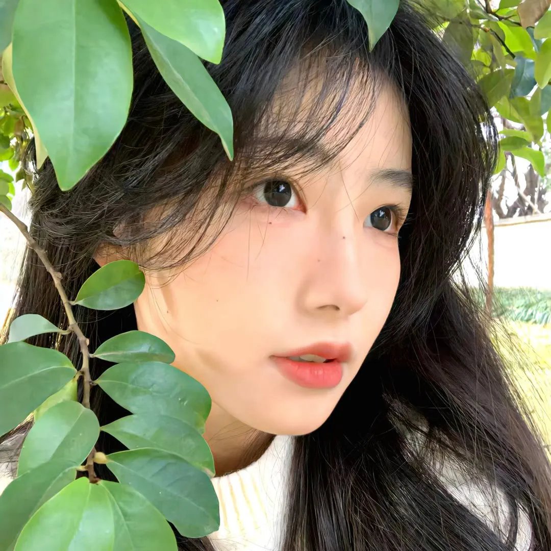 苏格兰之吻